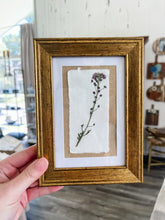 Load image into Gallery viewer, Pressed framed flowers - Prairie Press Designs
