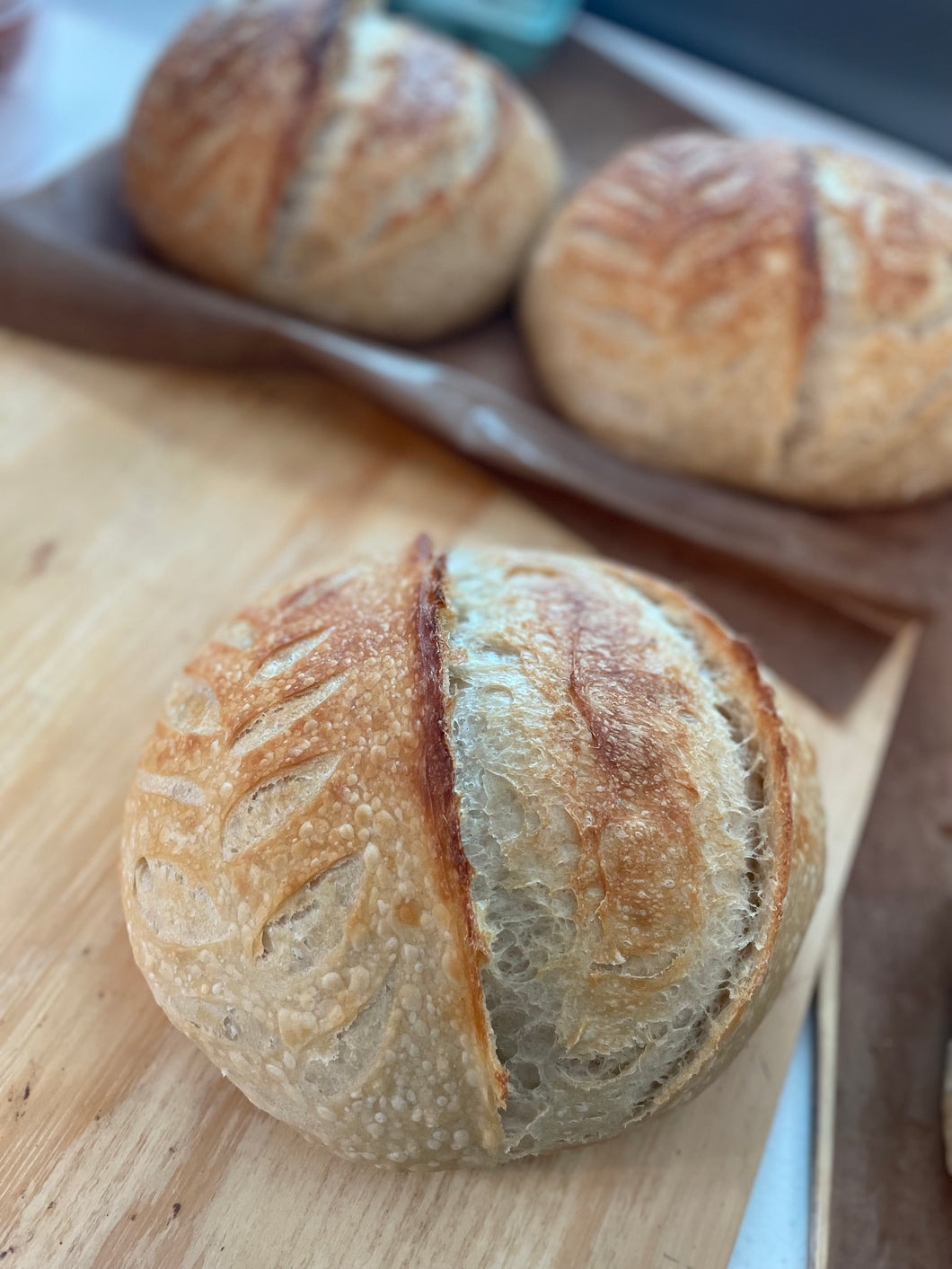 ARTISAN BOULE - The Crafty Crumb