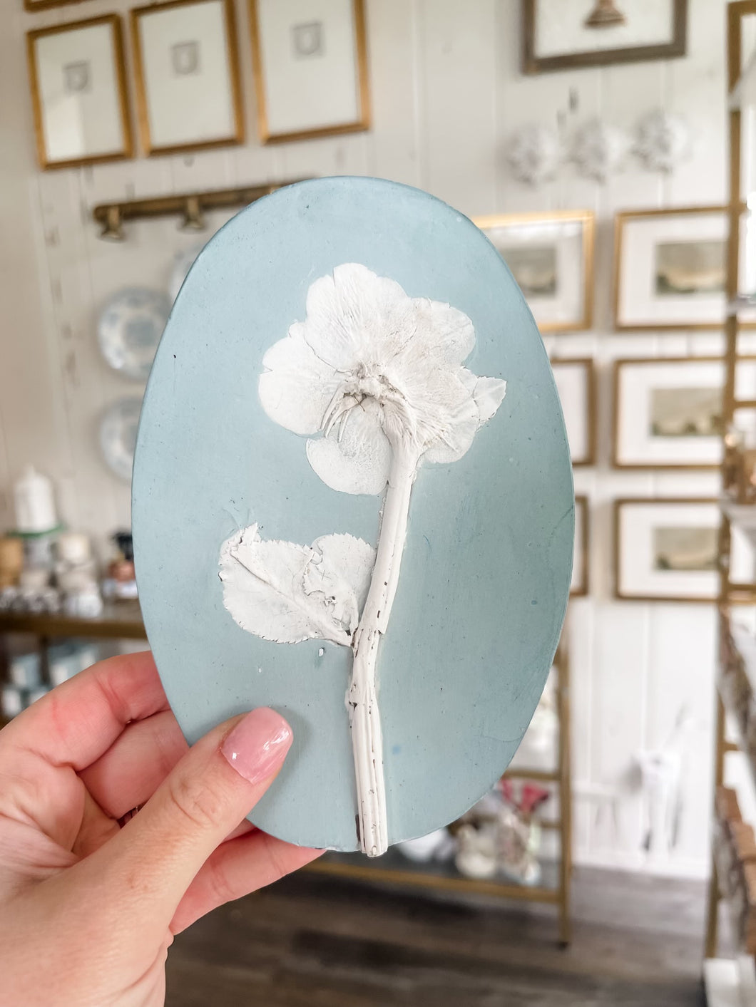 Medium Light Blue Oval Hellebore Frame + Hanger-YSF Intaglio Art