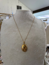 Load image into Gallery viewer, Locket Necklace - Gilded Mosquito
