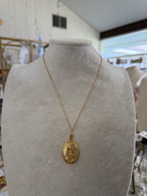 Load image into Gallery viewer, Locket Necklace - Gilded Mosquito
