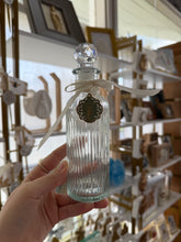 Load image into Gallery viewer, Holy Water Bottles - The Gilded Mosquito by Lisa Leger
