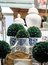 Load image into Gallery viewer, Boxwood Ball In Ceramic Pot
