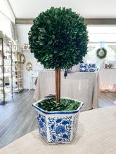 Load image into Gallery viewer, Topiary Tree with Boxwood Ball In Ceramic Pot
