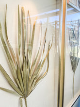 Load image into Gallery viewer, Custom framed palmetto leaves - set of 2 available in 2 sizes
